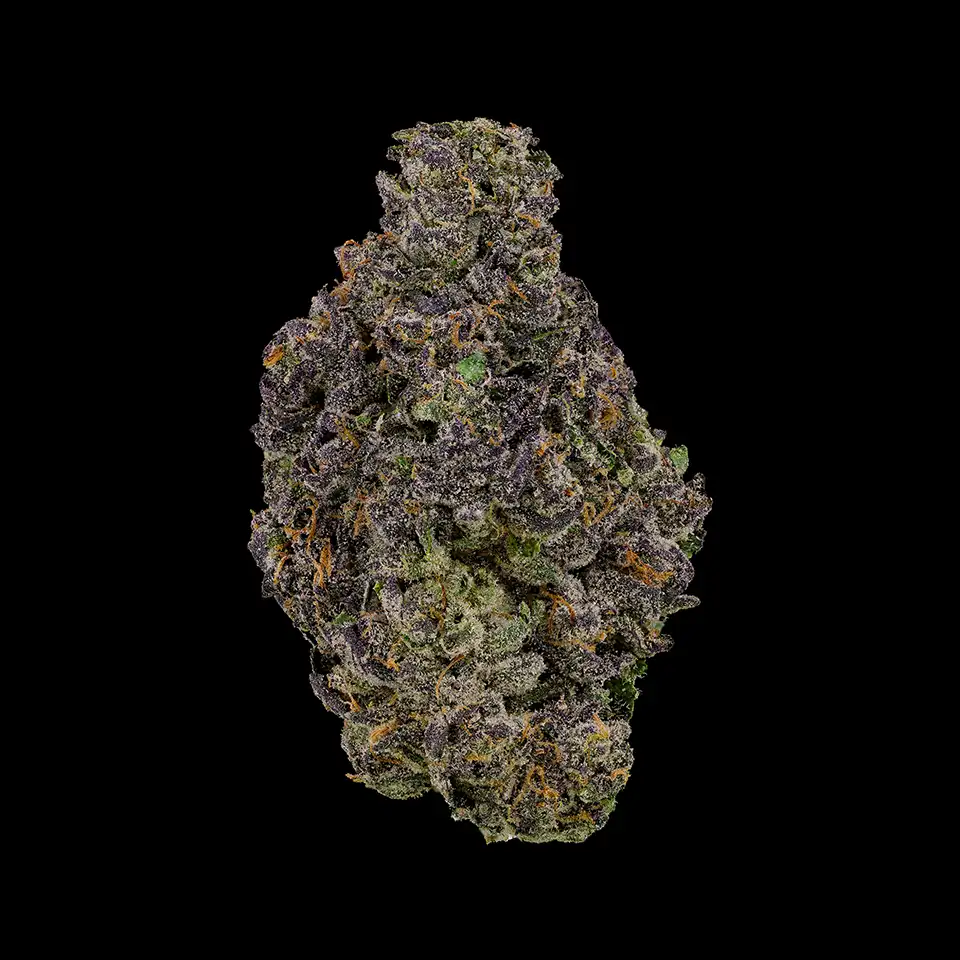 Cookies Strains Pacman