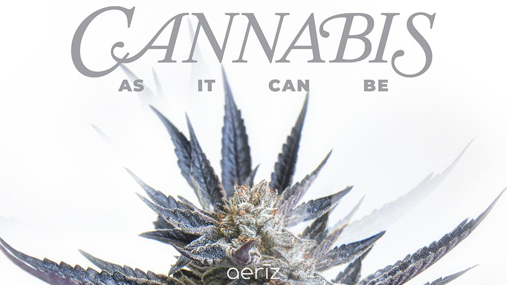 2242177a 7f43 4347 8d42 e37aefed86f4.jpeg