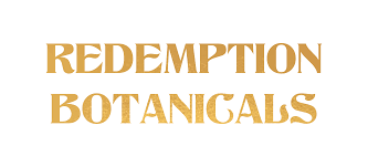 331ab3dc bf30 43b0 afcc d1a287a0c2a2.png