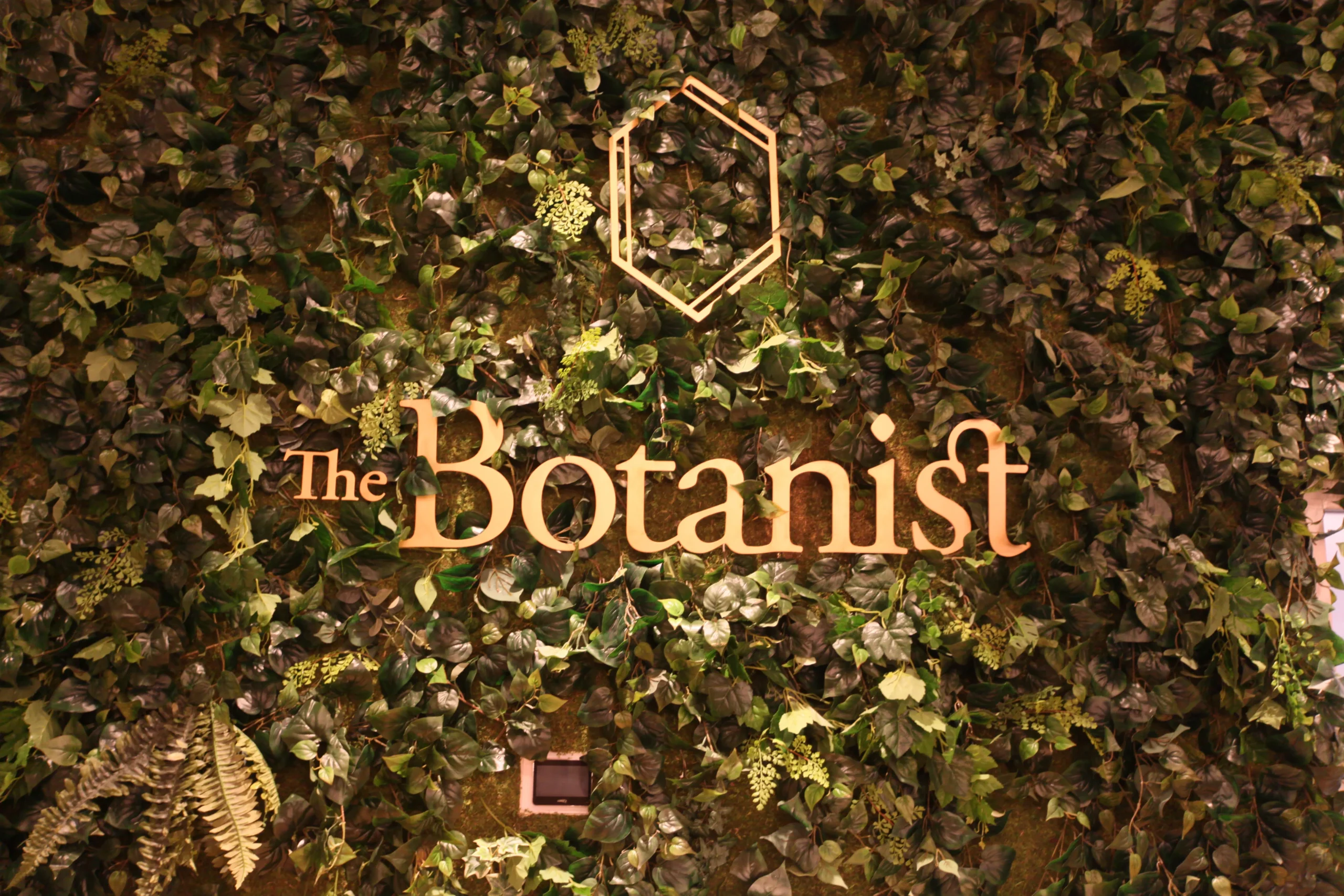 1477422a 2034 4f71 9f07 c7a669ae60f3.webp scaled