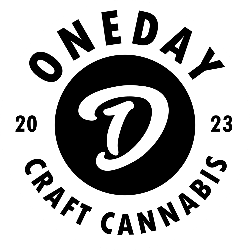 3380fd75 4b85 487a 940c a84f0770abe9.png