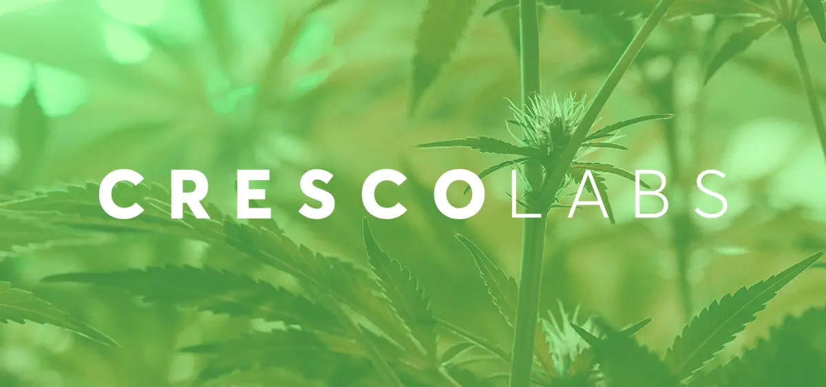 f7de2e2a 1523 4f0d 9305 f6c62e4a3c20.webp