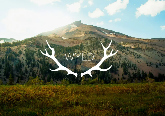 04ade931 e744 4a97 bbe5 66d1cb974f55.png