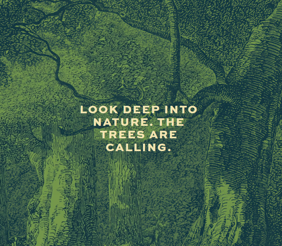 077e5b03 7082 48ab 9c8f 5b40a22c4761.png