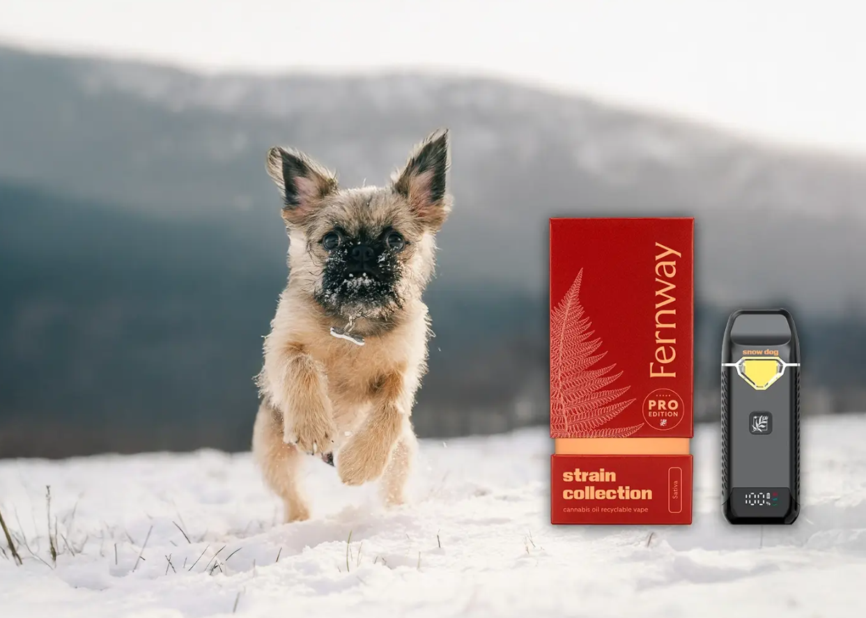 113f750a ea54 4cea 95d4 a29906fb0cd9.png