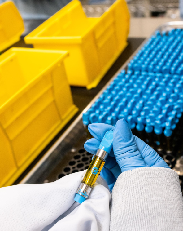 8ca010e0 c074 4d69 a65f edc1ea68acbc.png