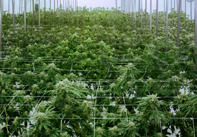 f03d5a4c 8fce 491b 88ff f55867025dcf.png