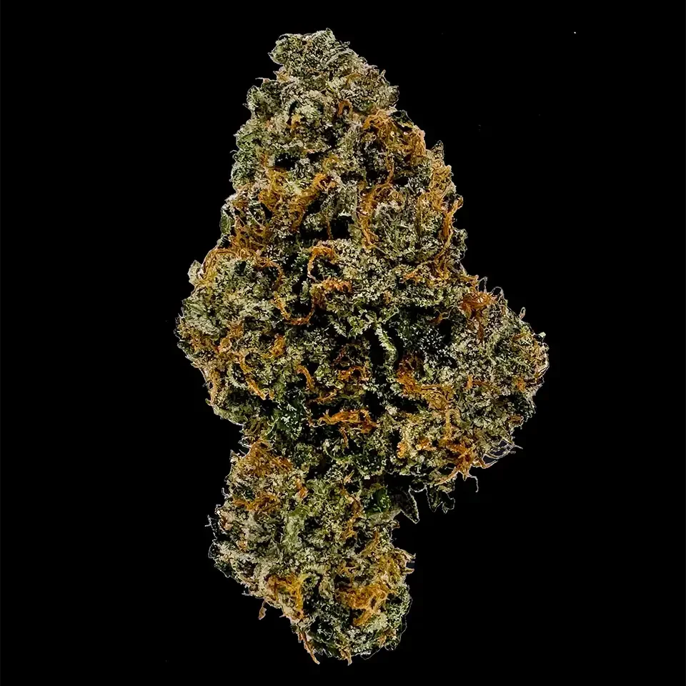 Cookies Strains Tequila Sunrise