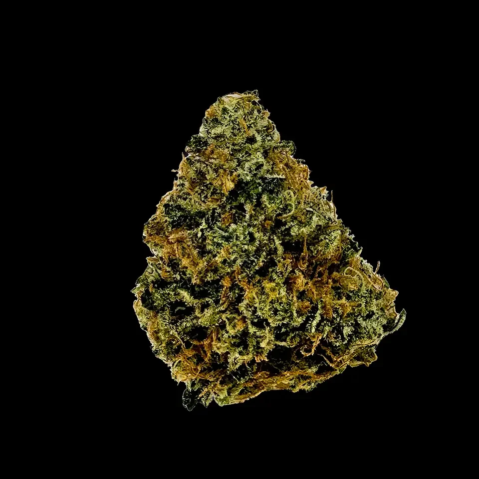 Cookies Strains Yellow Roses